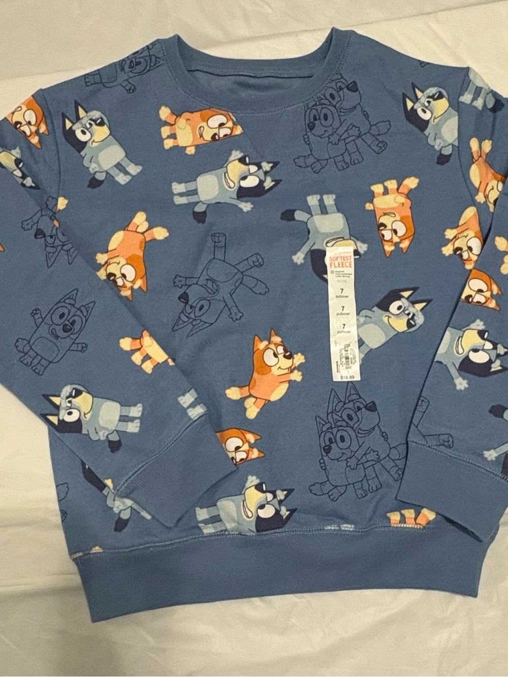 Blue Kids Fleece Sweatshirt with Cartoon Puppy Print